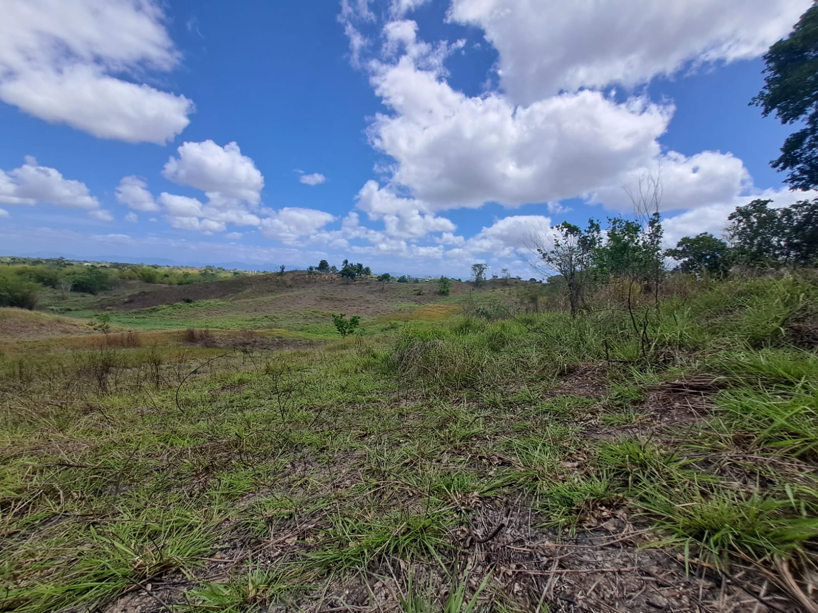 Lower Couva Road, Preysal, Cou..