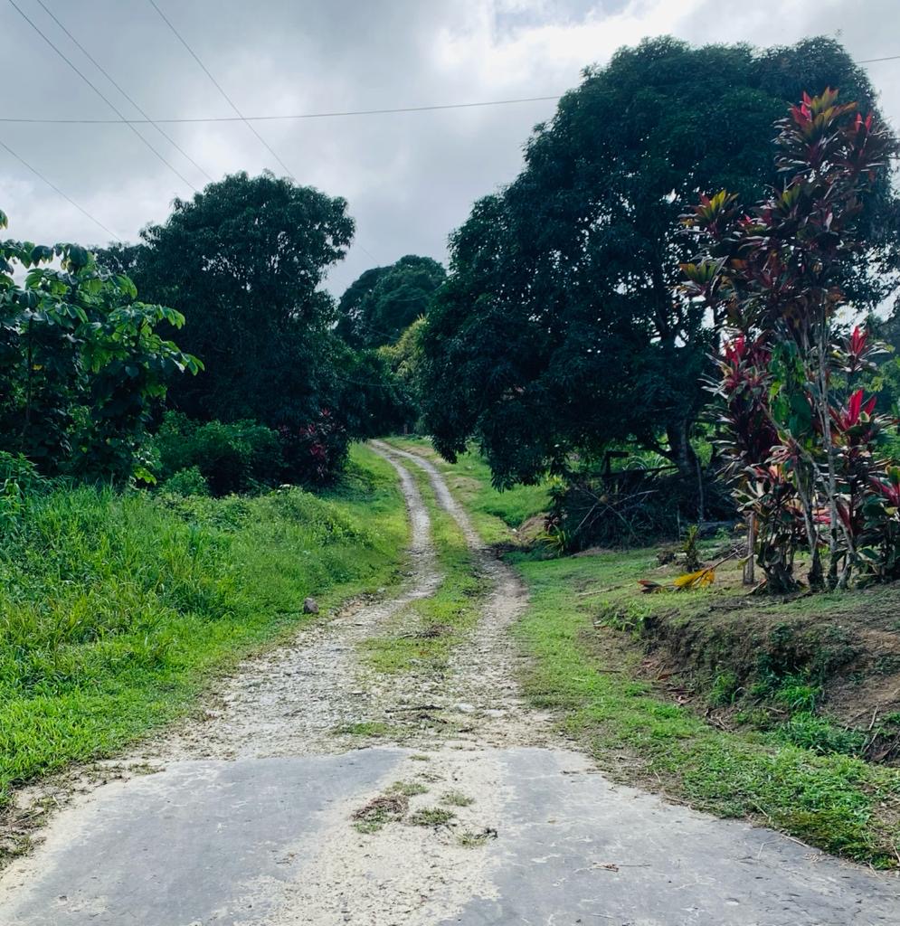 Las Cuevas Land for Sale