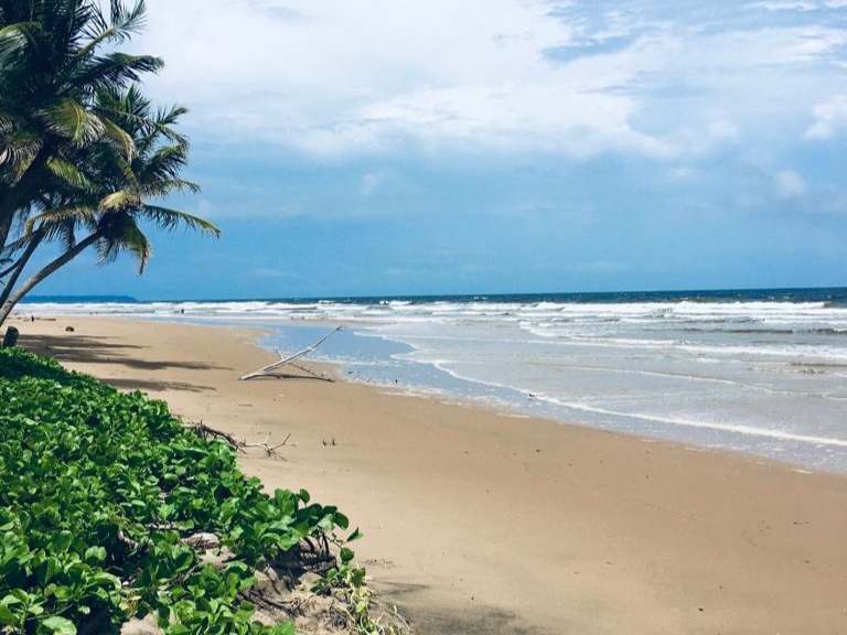 FOR SALE: MAYARO