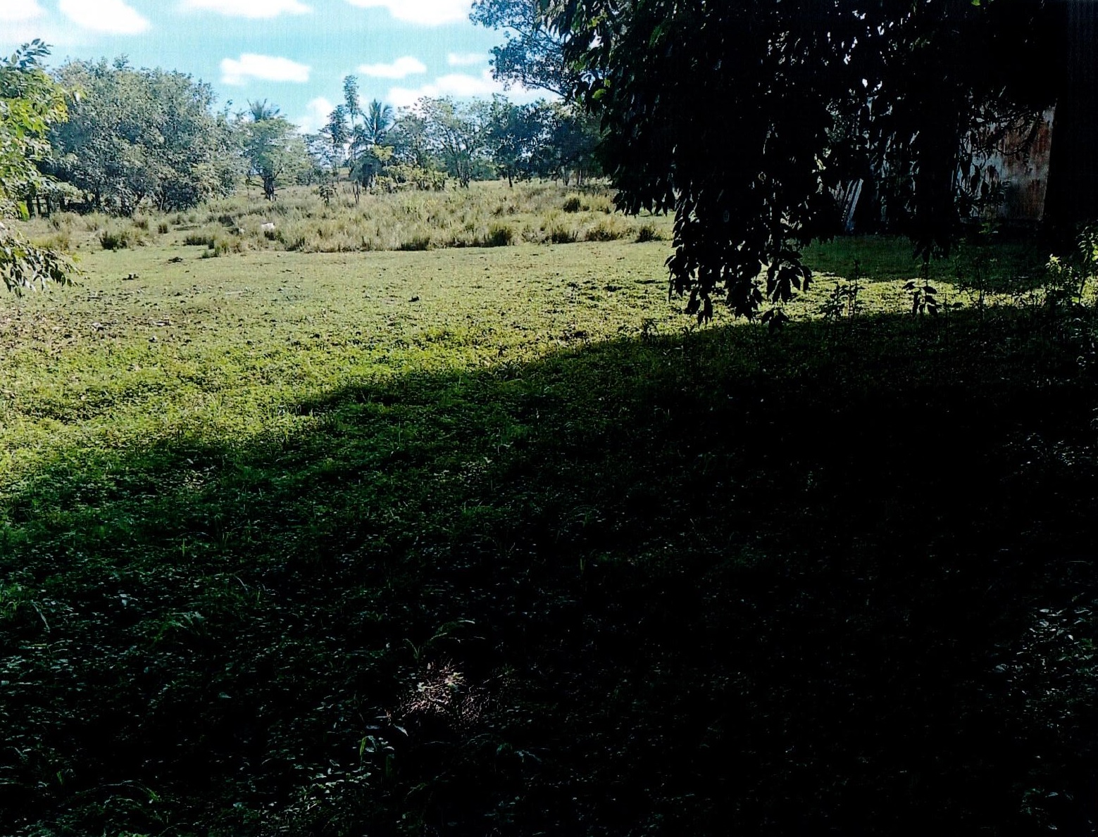 Saroop Trace, Las Lomas