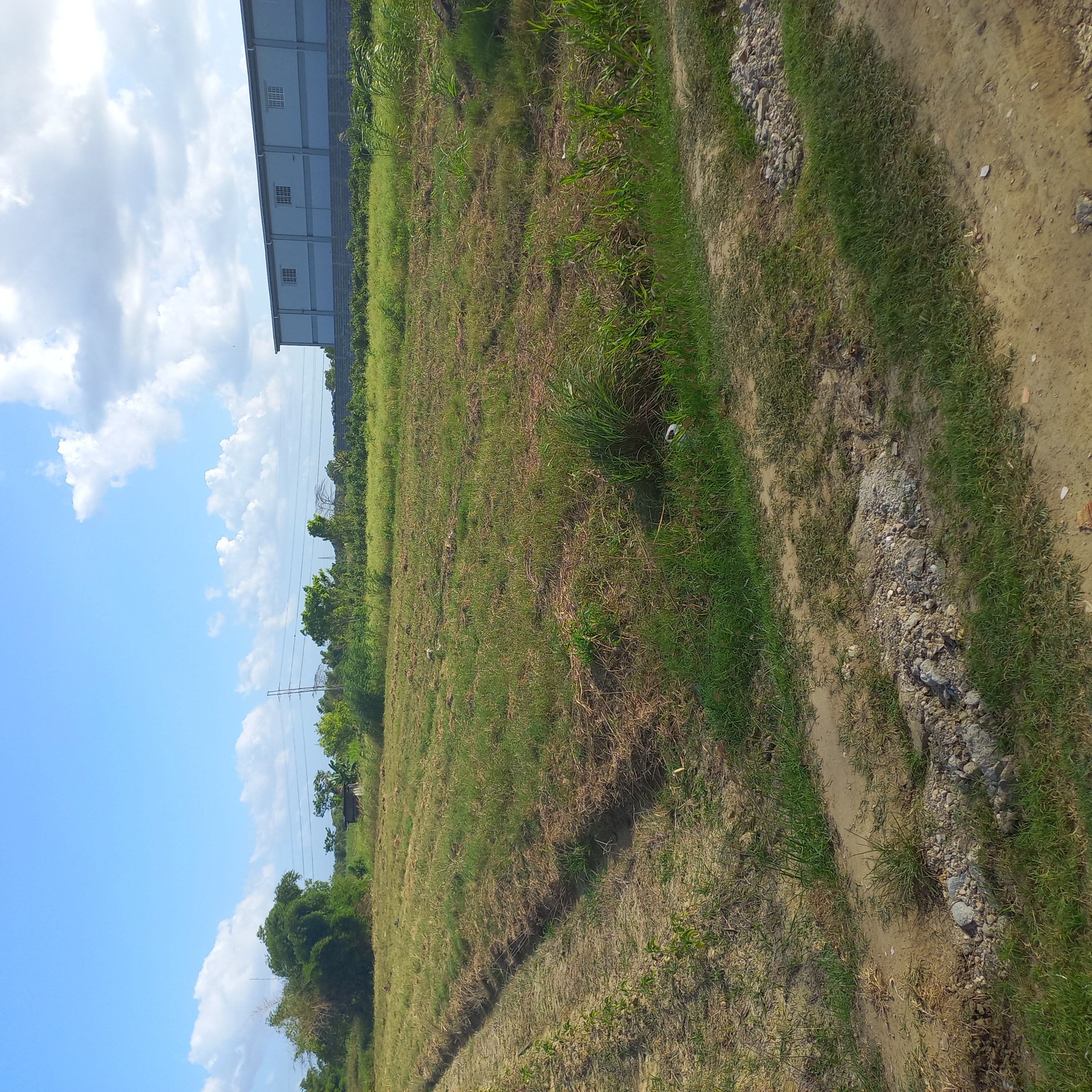ARANGUEZ LAND FOR SALE - 21380..