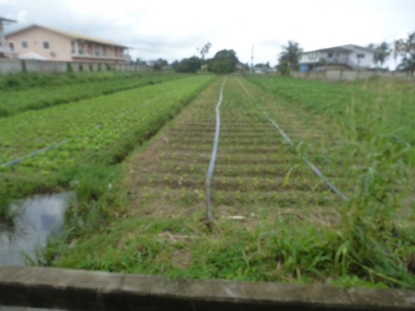Aranguez 1 Acre